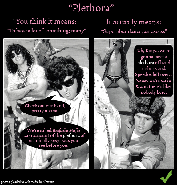 Plethora