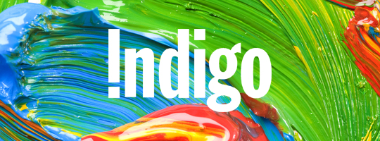 Chapters Indigo Logo